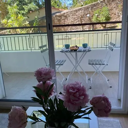 Joli Calme Et Apartamento